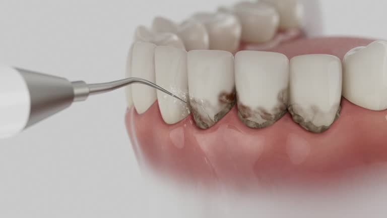 Reliable Dental contractor in Port O'Connor, TX by Dentist Open Now